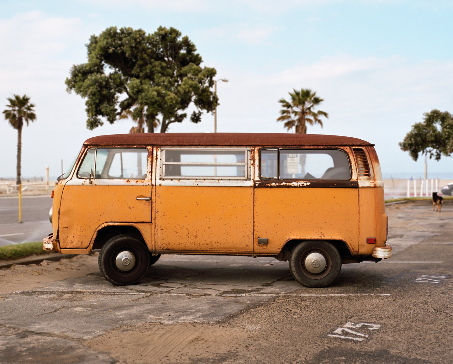 Volkslivin "Venice Safari" Print Bundle
