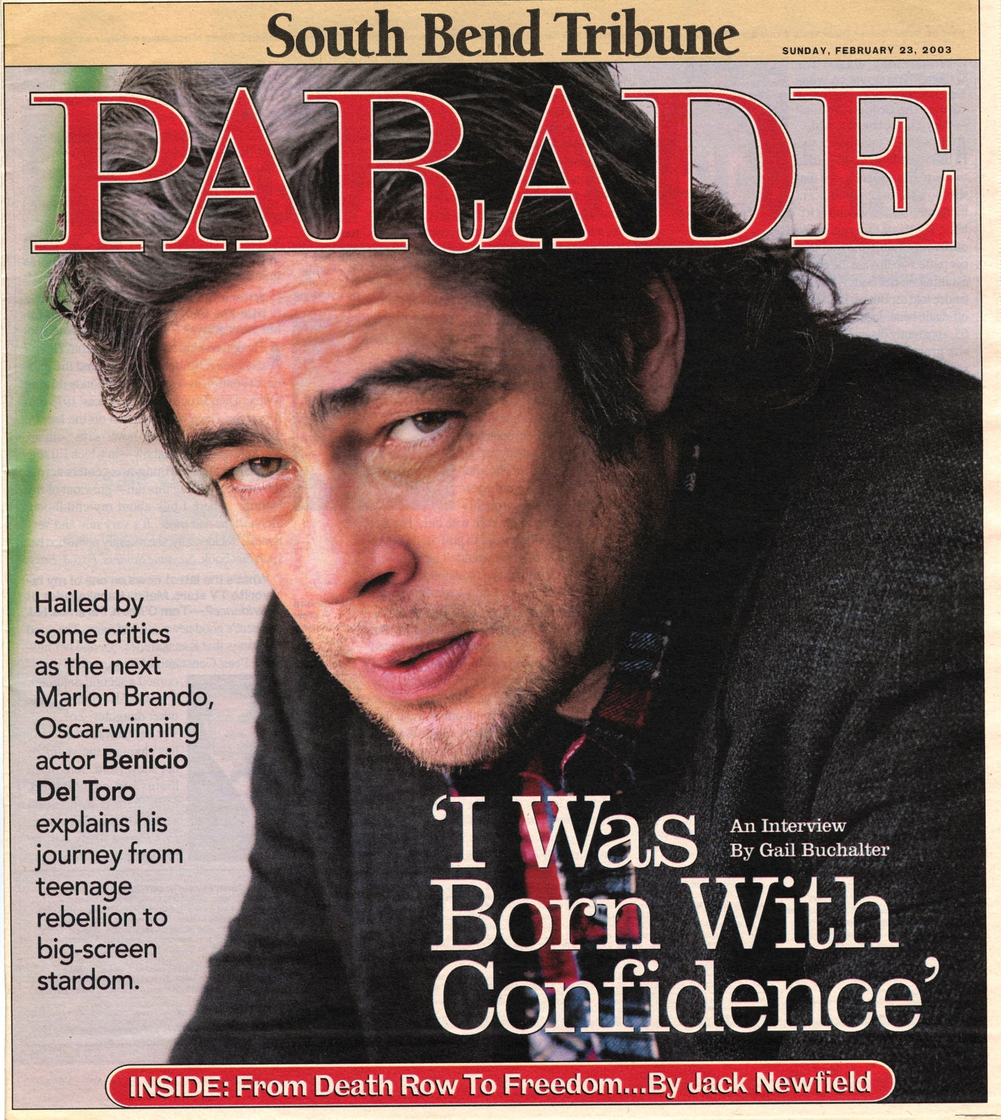 Benicio Del Toro